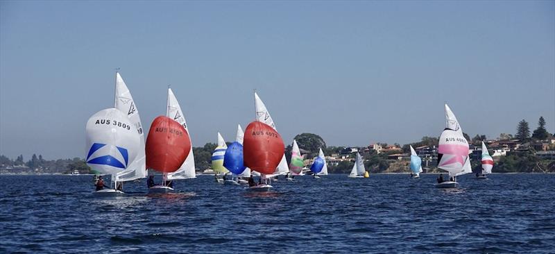 Hamish Carnachan and Peter Mudford - Tally Hobbs Regatta 2024 photo copyright George Vaskovics / RFBYC taken at Royal Freshwater Bay Yacht Club and featuring the Flying Fifteen class