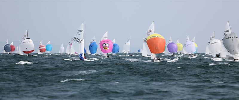 Race 1 fleet downwind on day 1 of the 2025 Flying Fifteen Worlds at the WPNSA - photo © Mark Jardine