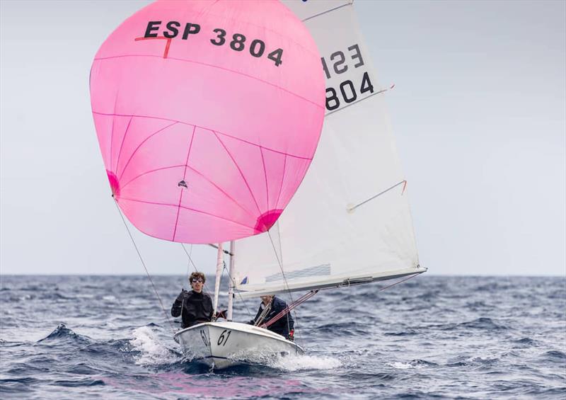 Flying 15 fleet compete in the Palma Vela - photo © RNCP