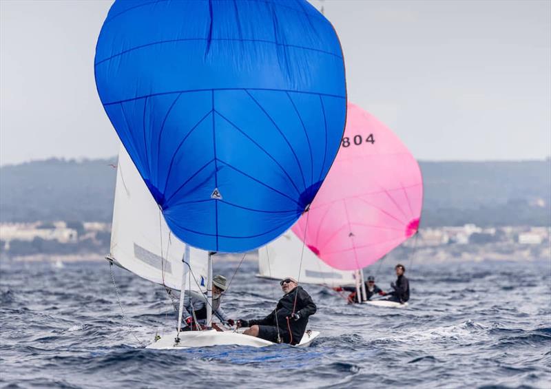 Flying 15 fleet compete in the Palma Vela - photo © RNCP