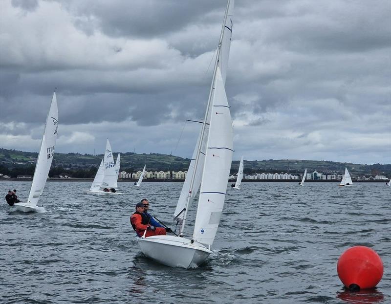 2026 Flying Fifteen Championship of Ireland at Carrickfergus Sailing Club - photo © Steve Atkinson