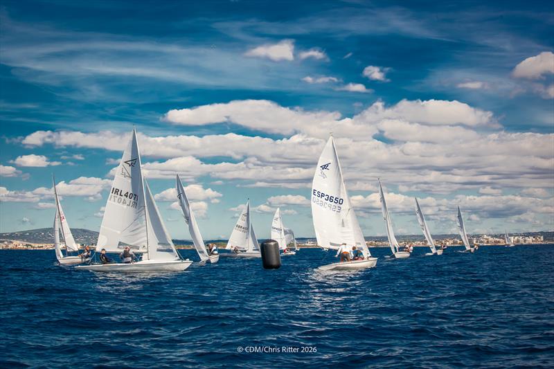 Flying Fifteen Europeans in Palma Day 4 - photo © Chris Ritter / CDM