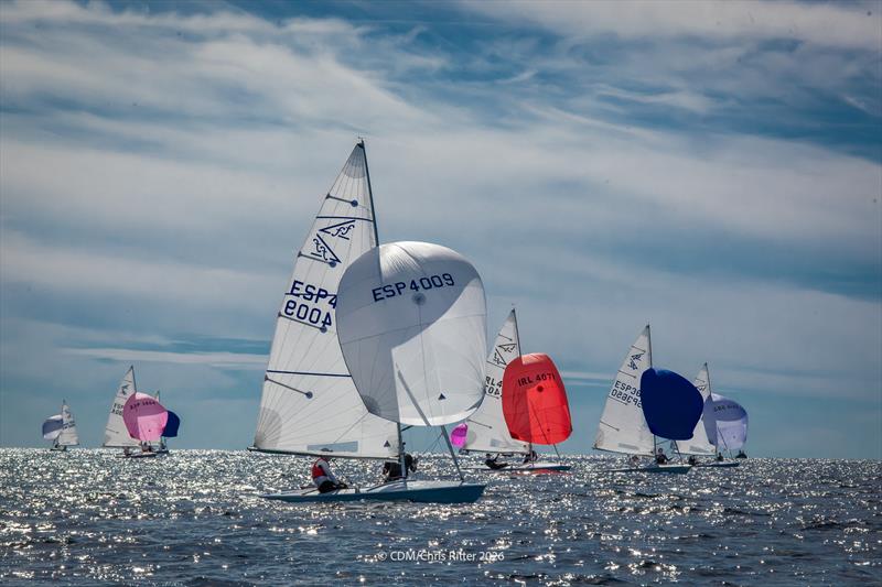 Flying Fifteen Europeans in Palma Day 4 - photo © Chris Ritter / CDM
