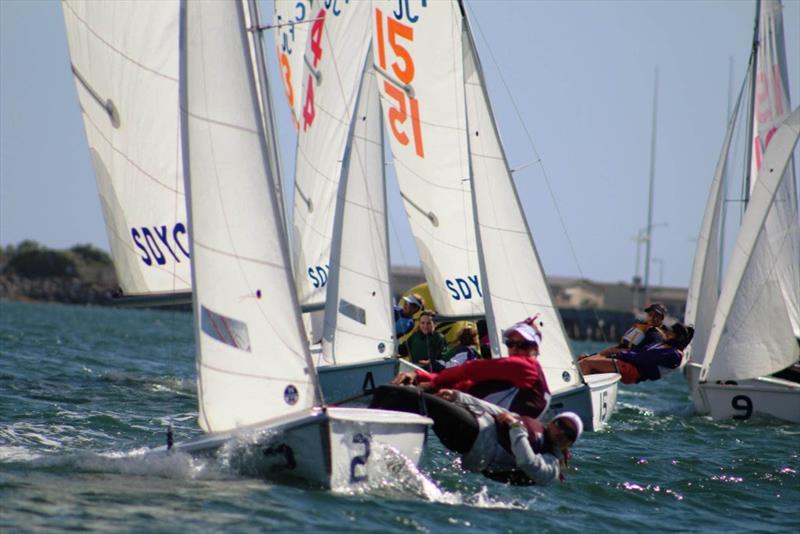 2017 PCISA/ISSA Girls National High School Invitational Regatta photo copyright Maru Urban taken at San Diego Yacht Club and featuring the Flying Junior class