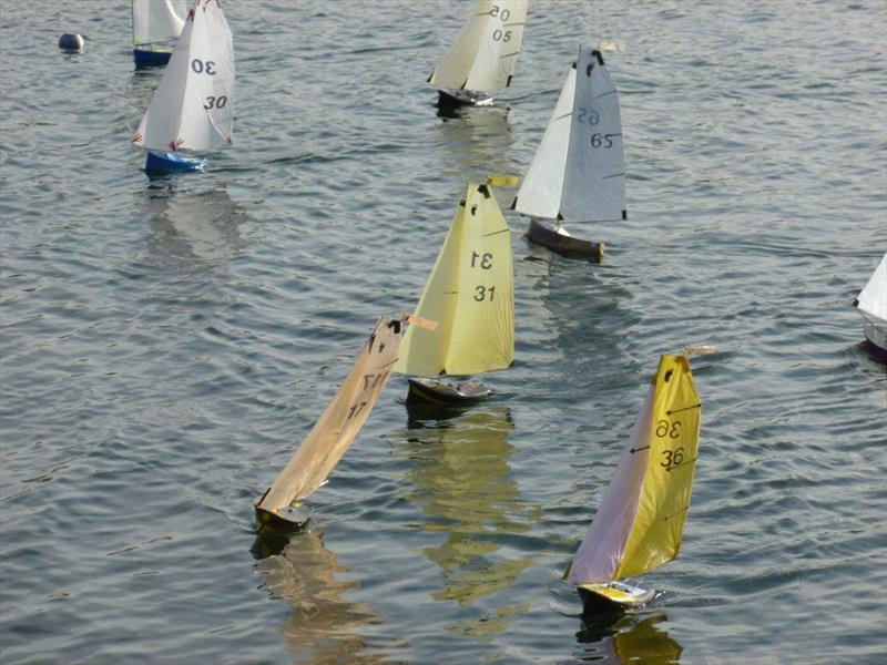 2015 Fred's Big Toephy at Guildford photo copyright John Townsend taken at Guildford Model Yacht Club and featuring the Footy class