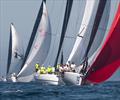 © Anna Suslova / Ugotta Regatta 2025