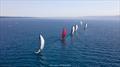 © Anna Suslova / 2025 Ugotta Regatta