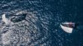 © Anna Suslova / 2025 Ugotta Regatta