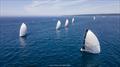 © Anna Suslova / 2025 Ugotta Regatta