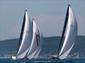 © Anna Suslova / 2025 Ugotta Regatta