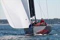 &copy; Anna Suslova / 2026 GL52 Big Red Regatta