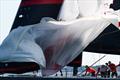 &copy; Anna Suslova / 2026 GL52 Big Red Regatta