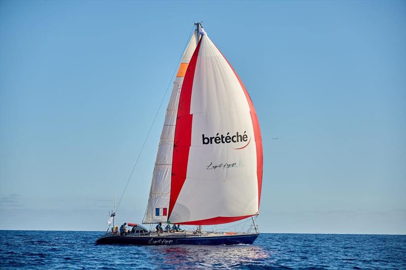 After competing in the Dhream Cup and Round Ireland Race last year, the Vendée-based yacht is racing in the RORC Transatlantic Race and will race for the coming Caribbean 600. Picture: The start of the RORC Transatlantic Race - photo © RORC / James Mitchell / James Tomlinson