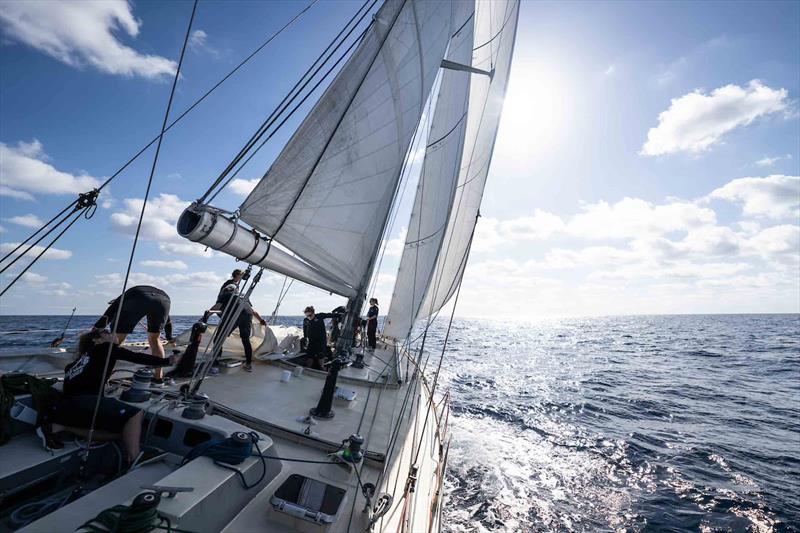 Pen Duick VI, fresh out of refit, is looking magnificent. She is now in the Canary Islands after a 1200-mile passage and splashing on December 14 photo copyright Martin Keruzoré taken at  and featuring the Golden Globe Race class