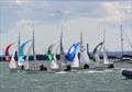GP14 Southern Area Championship at Leigh-on-Sea © Richard Knight
