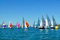 GP14 Ulster Championship at East Antrim © Lesley Craig