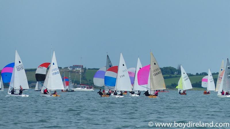 Exe Sails GP14 World Championship day 2 photo copyright Boyd Ireland / www.boydireland.com taken at East Down Yacht Club and featuring the GP14 class