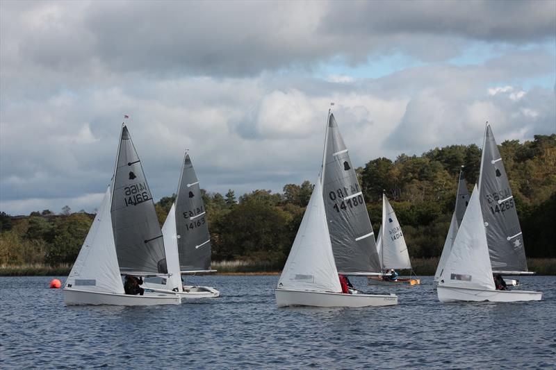 GP14s at Frensham Pond - photo © Stephanie Videlo