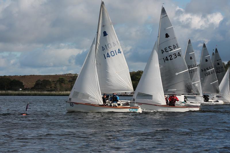 GP14s at Frensham Pond - photo © Stephanie Videlo