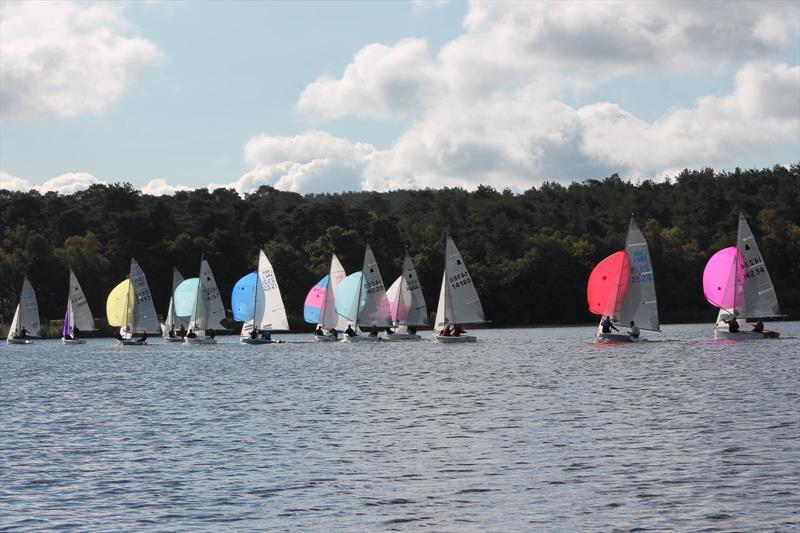 GP14s at Frensham Pond photo copyright Stephanie Videlo taken at Frensham Pond Sailing Club and featuring the GP14 class