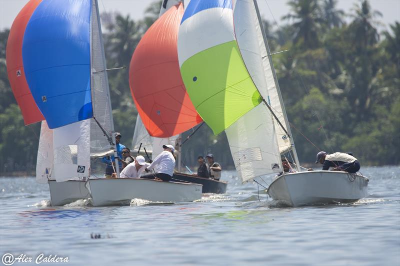 GP14 Anniversary Celebrations in Sri Lanka: Gnanawardene and de Soyza to windward of Duncan and Gail, and Devin and Kaif, with teenagers Jehan and Tarini on their tail - photo © Alex Caldera