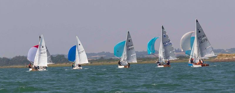GP14s at Tollesbury photo copyright Derek Burchell taken at Tollesbury Sailing Club and featuring the GP14 class