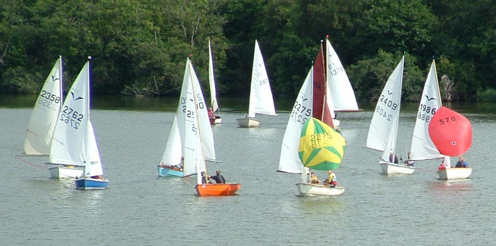 Twelve Gulls race on Black Horse Broad for their Inland championship photo copyright Holly Hancock taken at Horning Sailing Club and featuring the Gull class