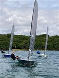© CYC Race team