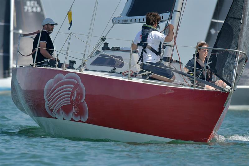 Red Cloud at the in Advance Half Ton Classic Cup photo copyright Pit De Jonge taken at Koninklijke Yachtclub Nieuwpoort and featuring the Half Tonner class