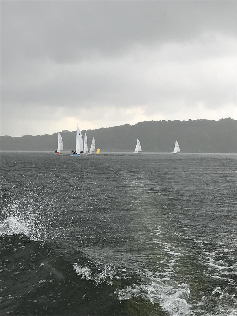 Herons at Bewl photo copyright Hannah Evans taken at Bewl Sailing Association and featuring the Heron class