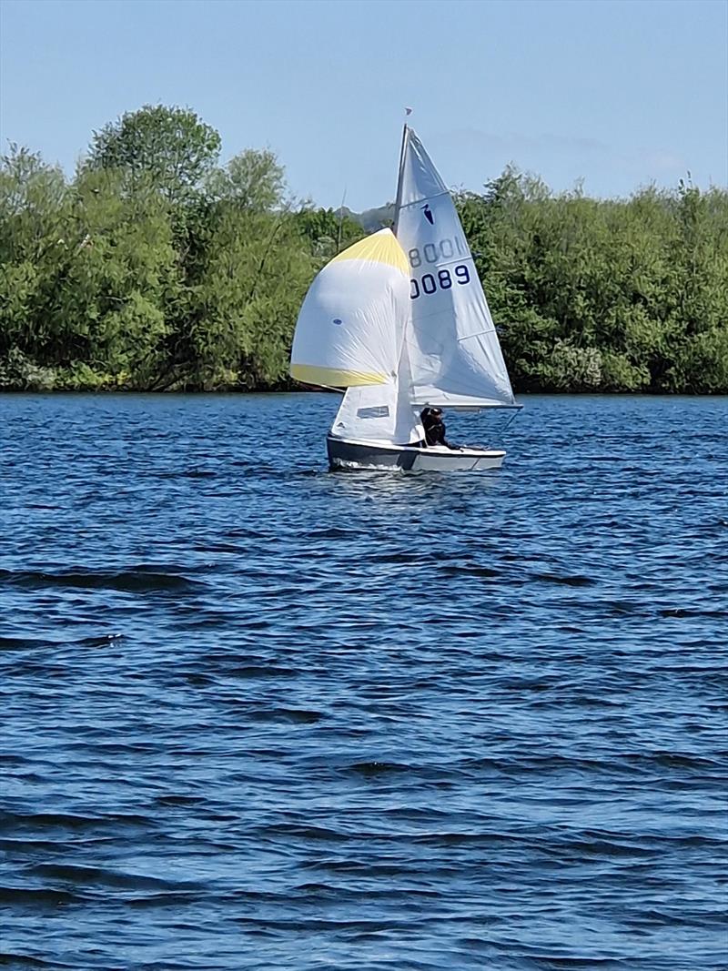 Heron Southern Championships at Chipstead photo copyright Sean Chapman taken at Chipstead Sailing Club and featuring the Heron class