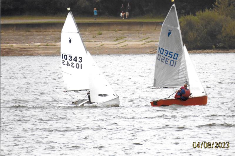 Heron Southerns at Bewl - photo © Jo Mayes