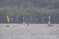 NSW Hobie Cat State Championships 2024 © Alannah Simpson