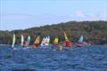 2026 Hobie Cat NSW State Championships at Wangi RSL Amateur Sailing Club &copy; Gavin Luxton