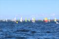 2026 Hobie Cat NSW State Championships at Wangi RSL Amateur Sailing Club &copy; Gavin Luxton