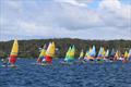 2026 Hobie Cat NSW State Championships at Wangi RSL Amateur Sailing Club &copy; Gavin Luxton