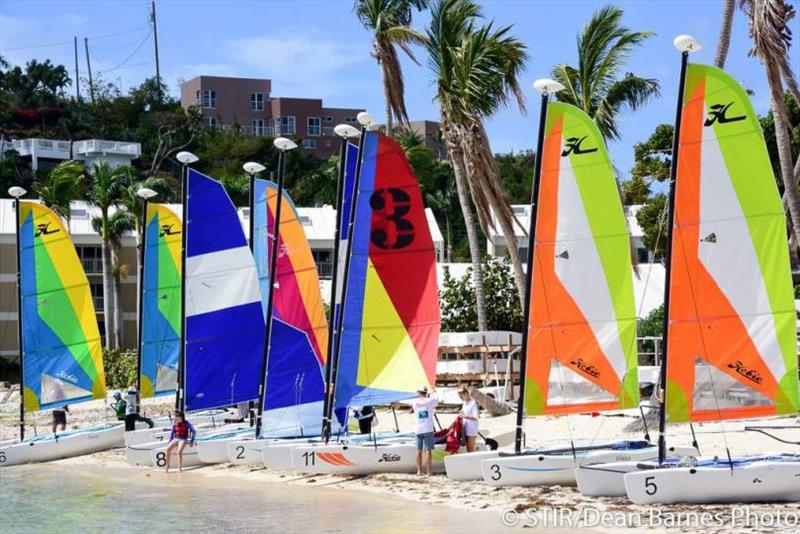 The new fleet of Hobie Waves at St Thomas YC photo copyright Dean Barnes / STIR taken at St. Thomas Yacht Club and featuring the Hobie 14 class