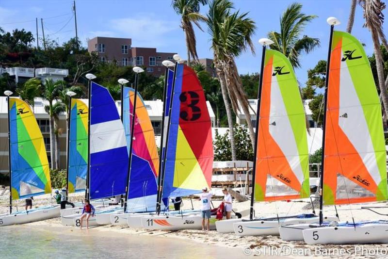 The new fleet of Hobie Waves at St Thomas YC - photo © Dean Barnes / STIR