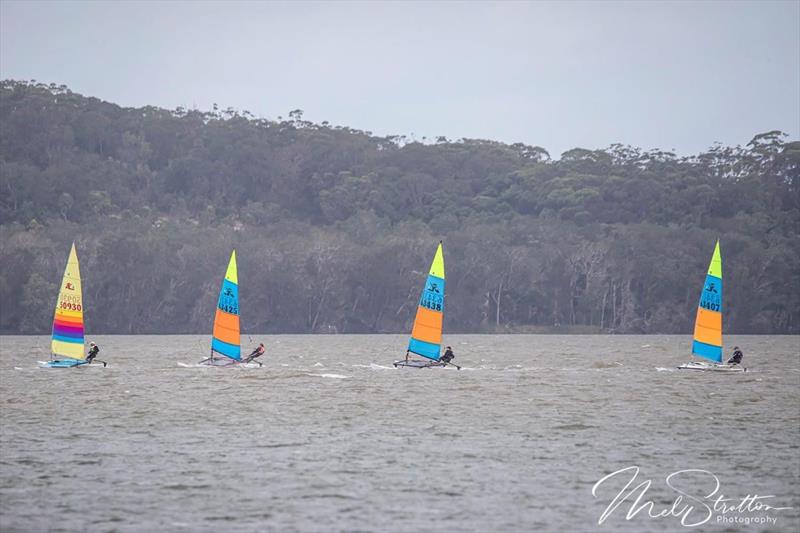 NSW Hobie Cat State Championships 2024 photo copyright Alannah Simpson taken at Toukley Sailing Club and featuring the Hobie 14 class