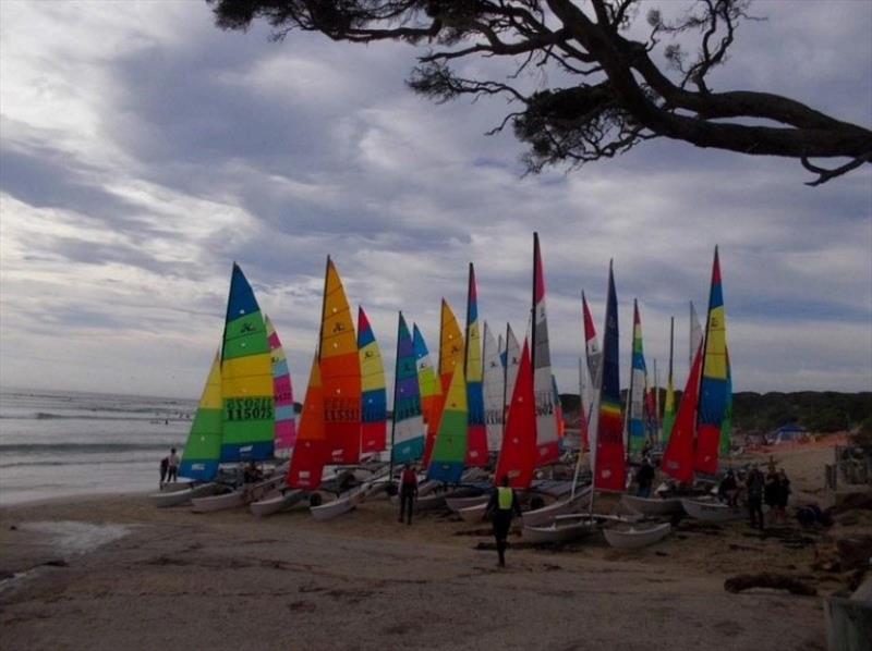 Victorian Hobie Cat State Championships 2024 photo copyright Abi Morgan taken at Anglesea Motor Yacht Club and featuring the Hobie 14 class