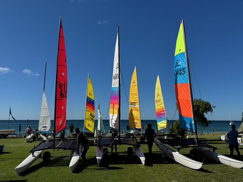 WA Hobie 14 on the lawn at GBYC photo copyright Hobie Cat Association of WA taken at Geographe Bay Yacht Club and featuring the Hobie 14 class
