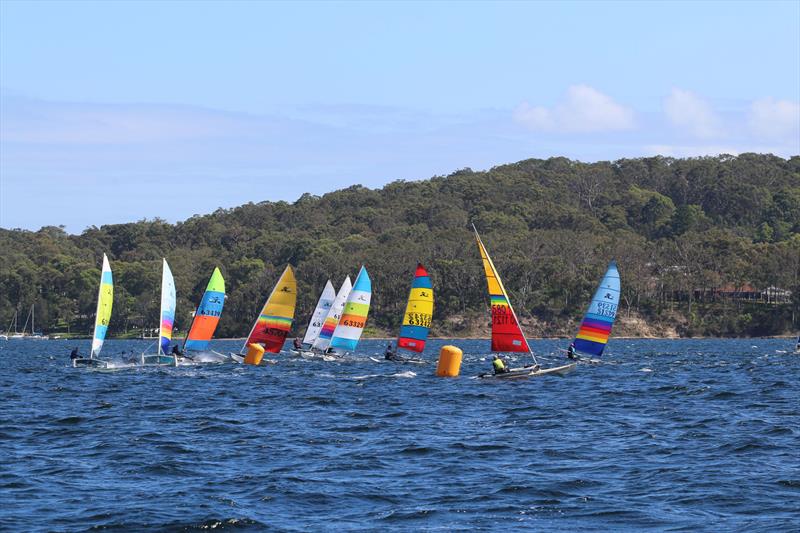 2026 Hobie Cat NSW State Championships at Wangi RSL Amateur Sailing Club - photo © Gavin Luxton