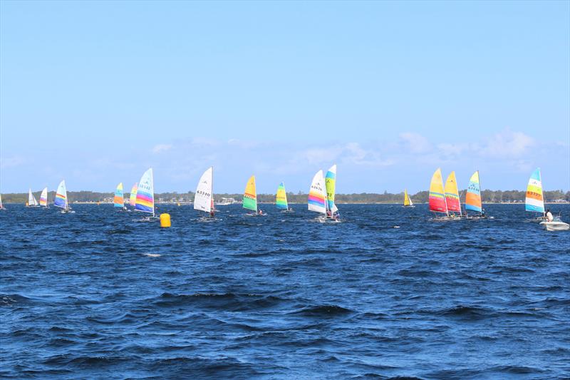 2026 Hobie Cat NSW State Championships at Wangi RSL Amateur Sailing Club - photo © Gavin Luxton