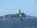 Palm Beach Sailing Club's annual 'Beware The Bullets' Regatta - bullets galore… © Dick Clarke