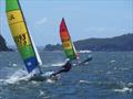 Palm Beach Sailing Club's annual 'Beware The Bullets' Regatta - Nelson, hot on Hatto heels © Dick Clarke