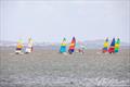 NSW Hobie Cat State Championships 2024 © Alannah Simpson