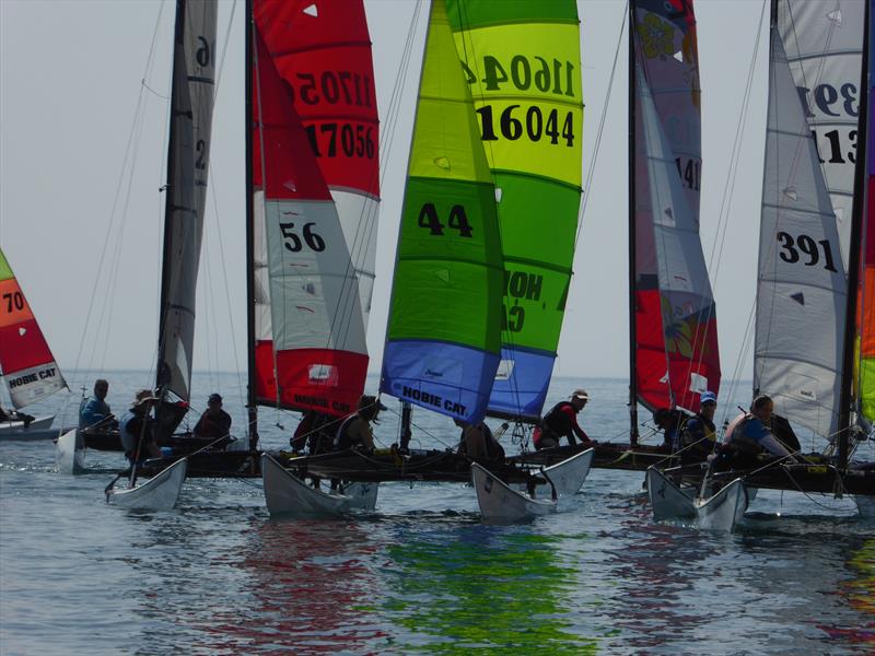 RCIYC Hobie Fleets Rosscot Spring Series - photo © Elaine Burgis