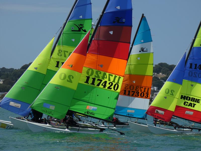 Hobie 16s during the RCIYC Hobie Fleets Love Wine 'Summer Breeze' series - photo © Elaine Burgis