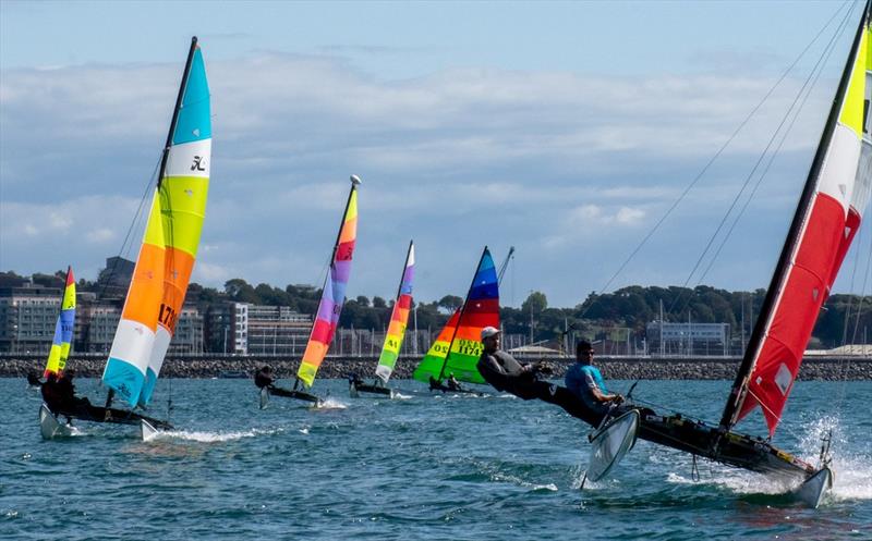 Hobie 16s during the Jersey Regatta - photo © Simon Ropert