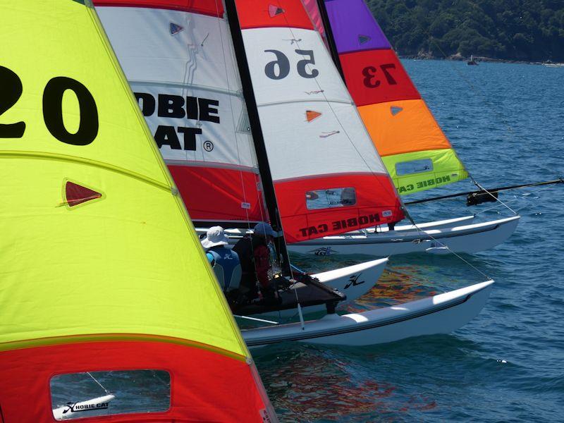 Hobie 16 start at the Channel Islands Hobie Cat Championships 2018 - photo © Elaine Burgis